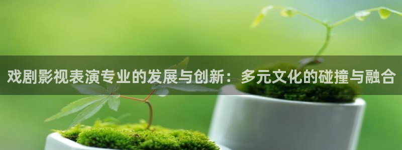 木瓜價(jià)格：戲劇影視表演專(zhuān)業(yè)的發(fā)展與創(chuàng)新：多元文化的碰撞與融合